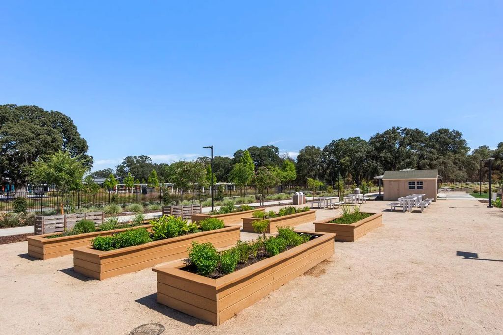 5040 Peace Lily Lane, Roseville