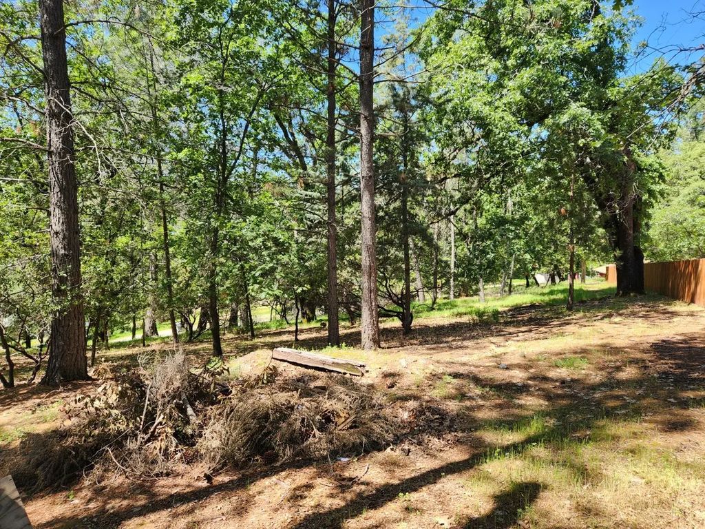 401 Iyu Camp Road, Applegate
