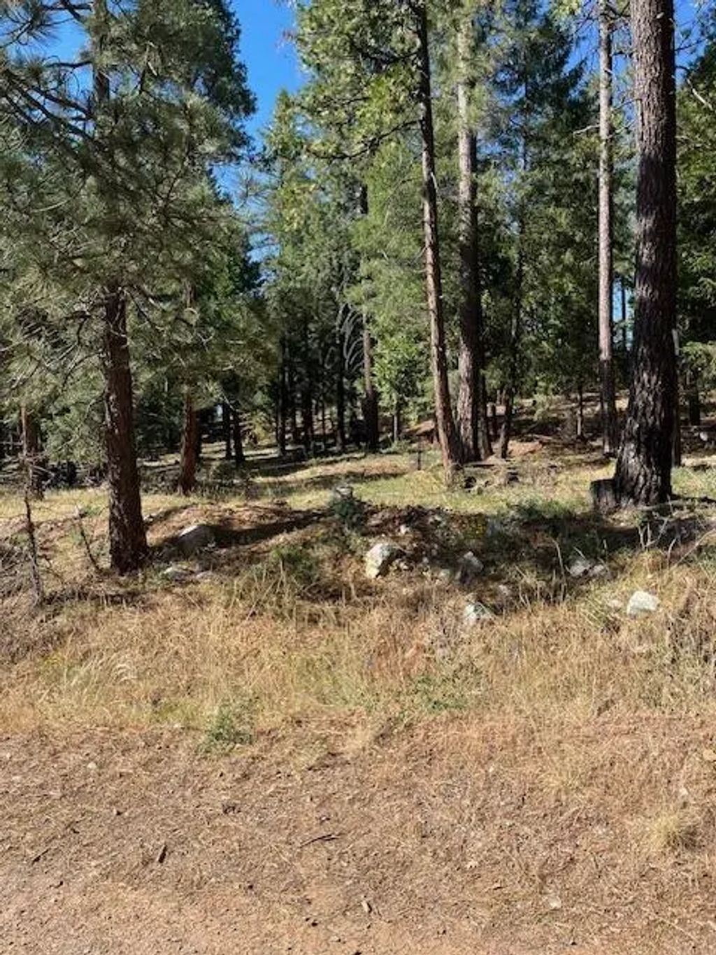 5053 Finning Mill Road, Foresthill