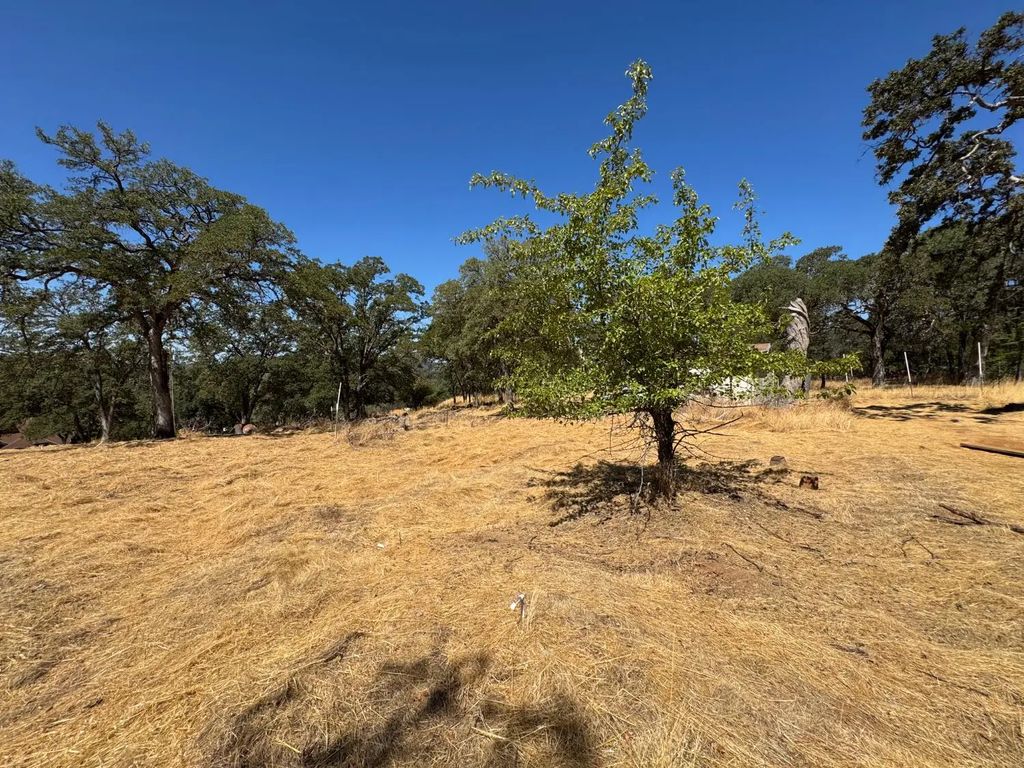 5825 Dragon Springs Road, Placerville
