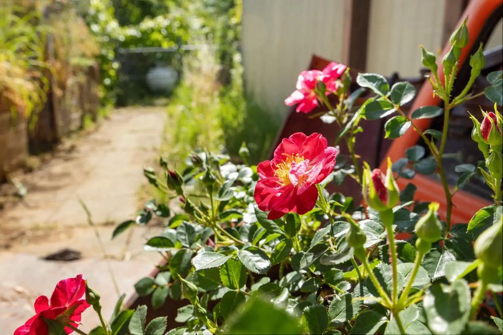 3700 Forni Road, Placerville