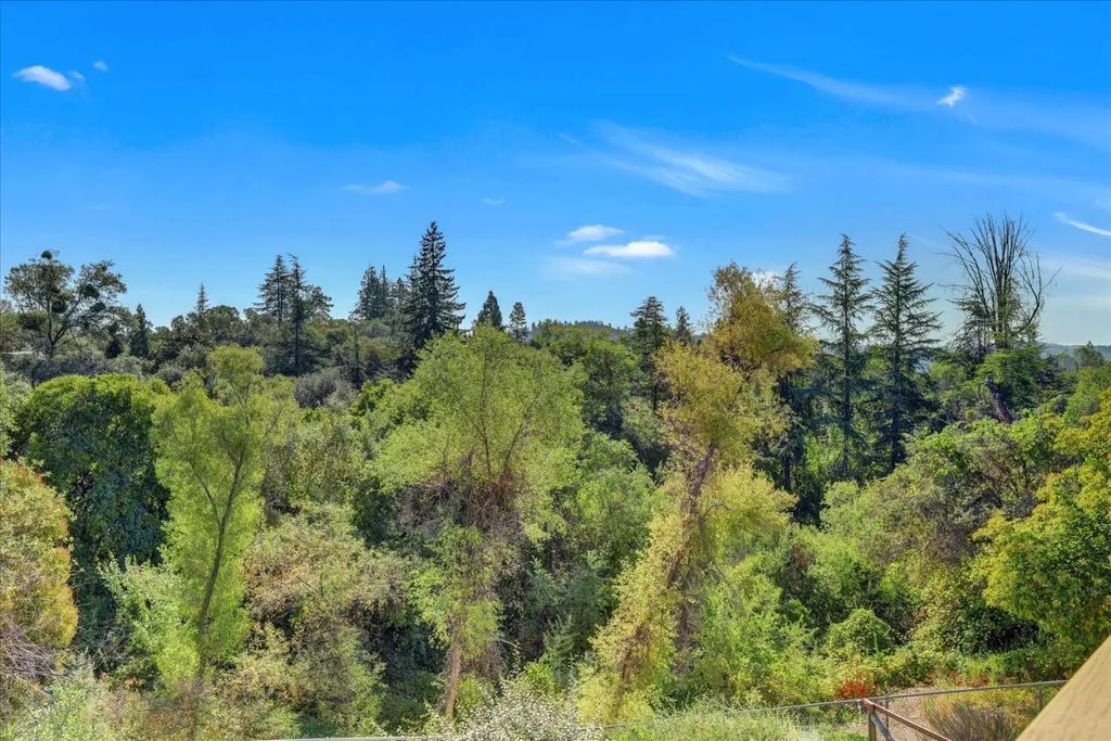 13111 Thistledown Court, Auburn
