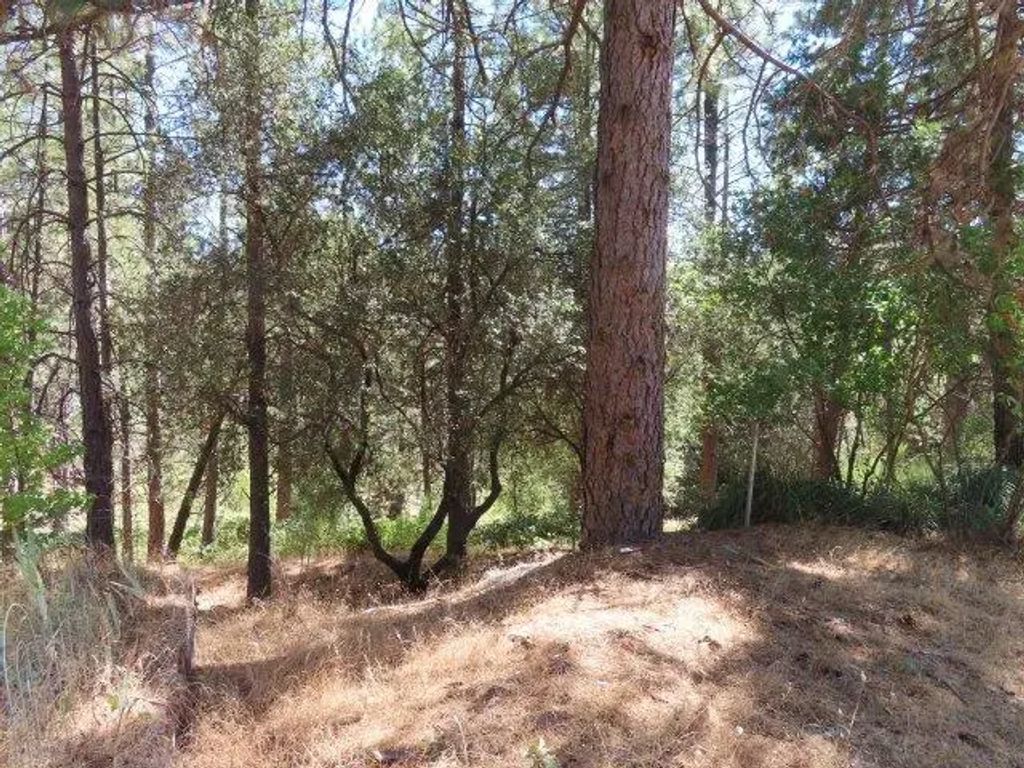 2231 Crawley Lane, Placerville
