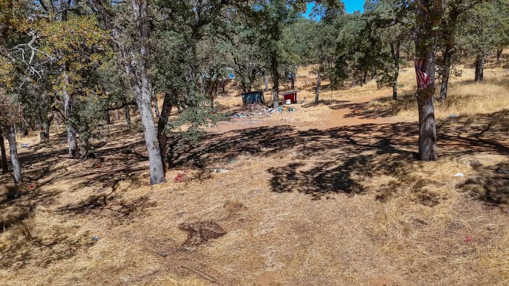 6646 Sourdough Trail, Placerville