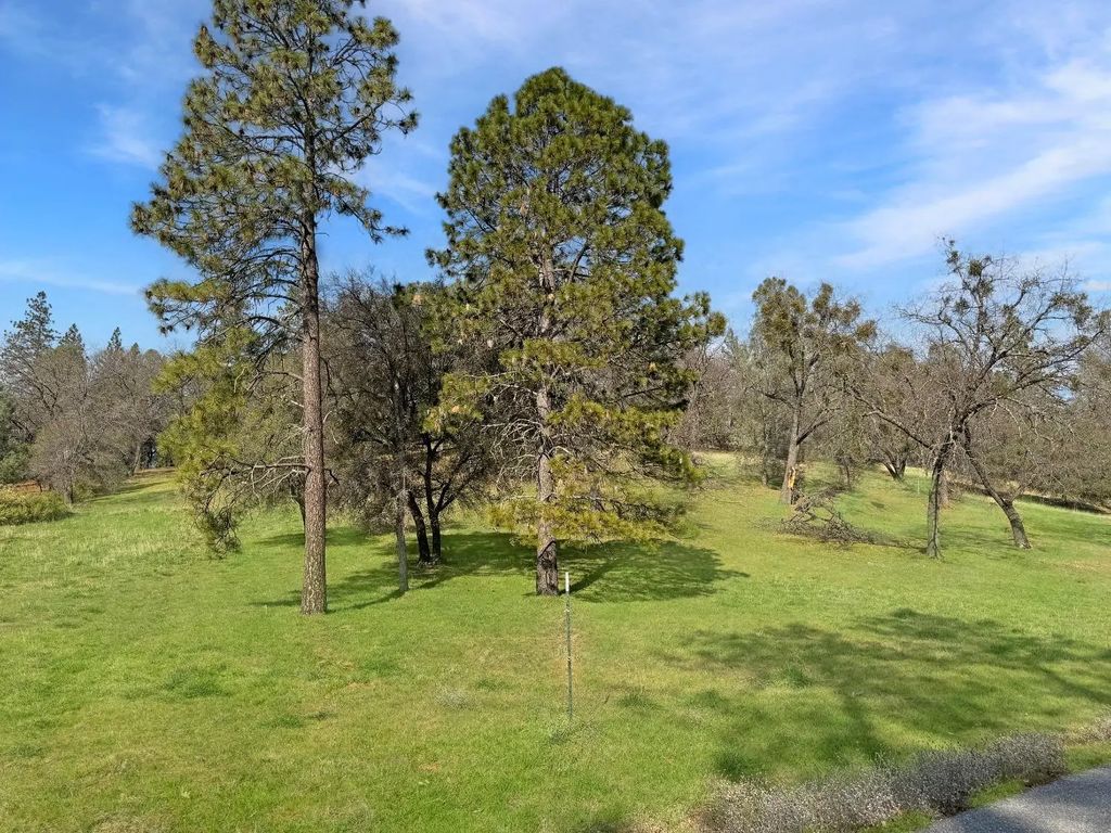 27217 Table Meadow Road, Auburn