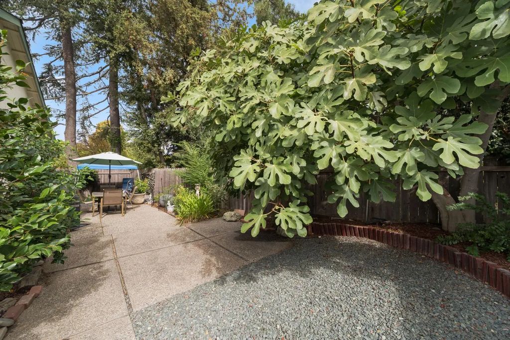 8343 Foxfire Drive, Orangevale