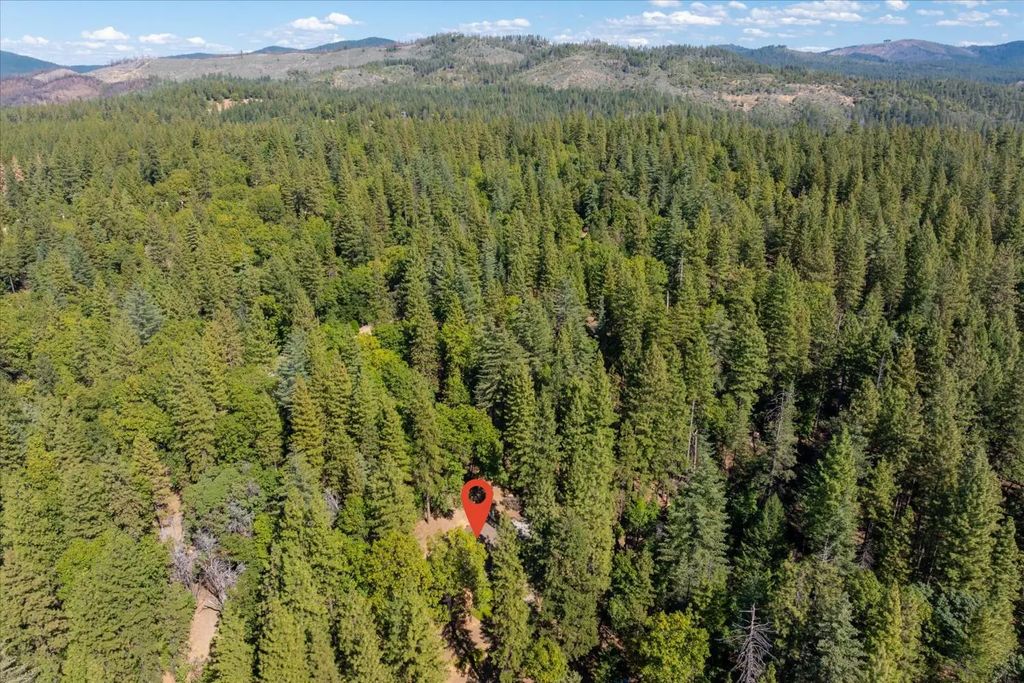 3553 Lupine Lane, Placerville