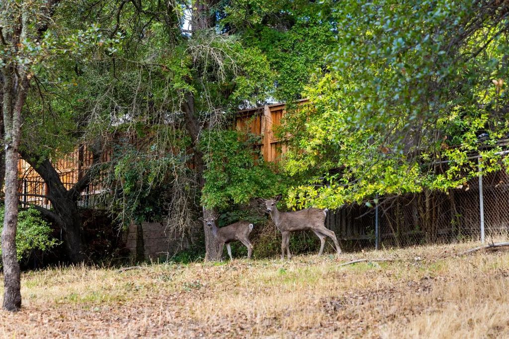 8739 Noland Lane, Fair Oaks