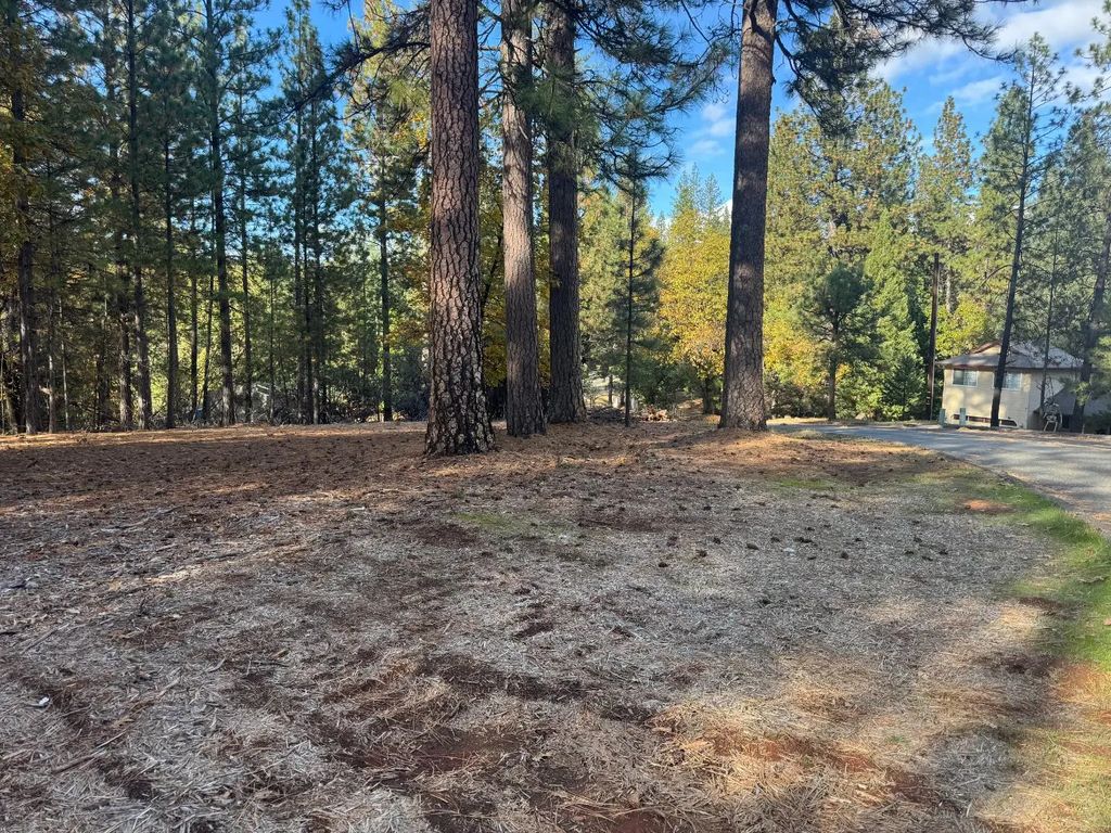 6364 Green Leaf Lane, Foresthill