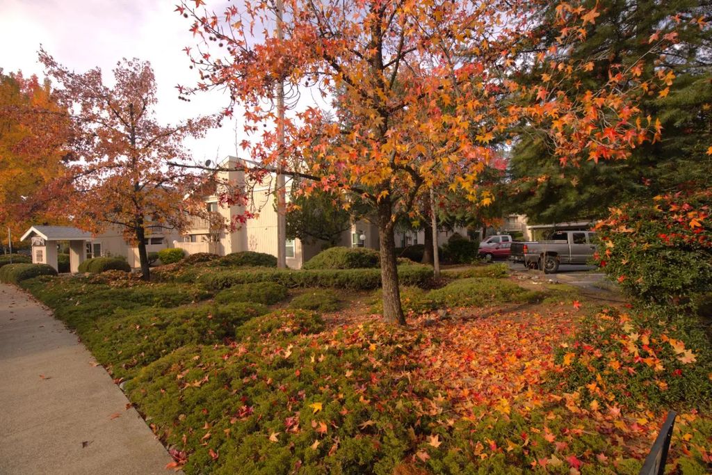 741 Mikkelsen Drive, Auburn