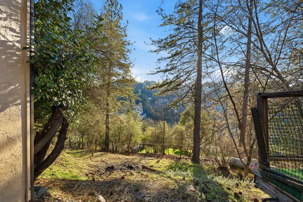 818 Blue Bell Court, Placerville