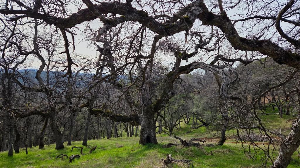 0 Palace Lane, Placerville