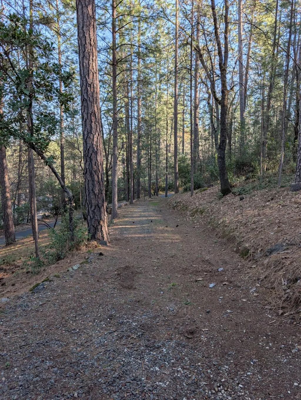 1775 Sierra View Drive, Meadow Vista