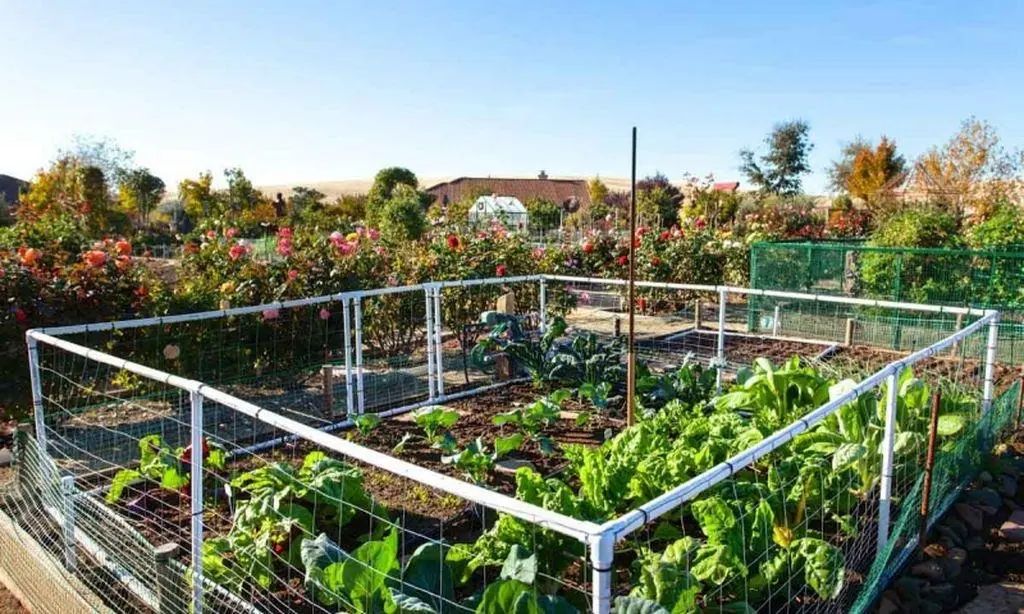 1010 Autumn Trail Way, El Dorado Hills