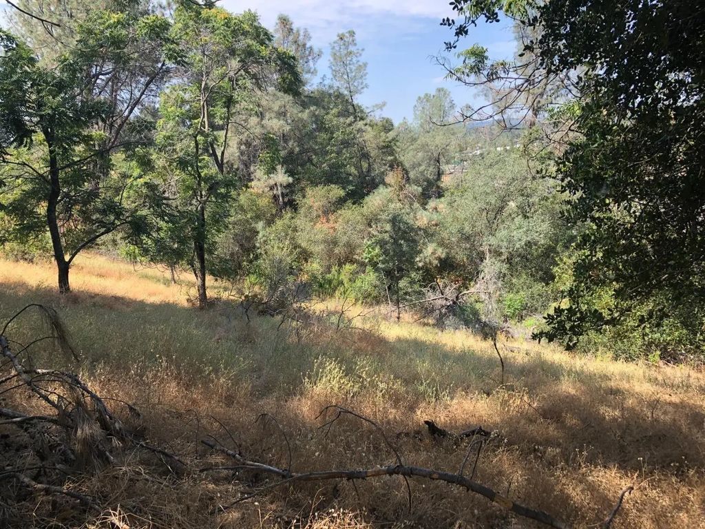 3075 Gold Nugget Way, Placerville