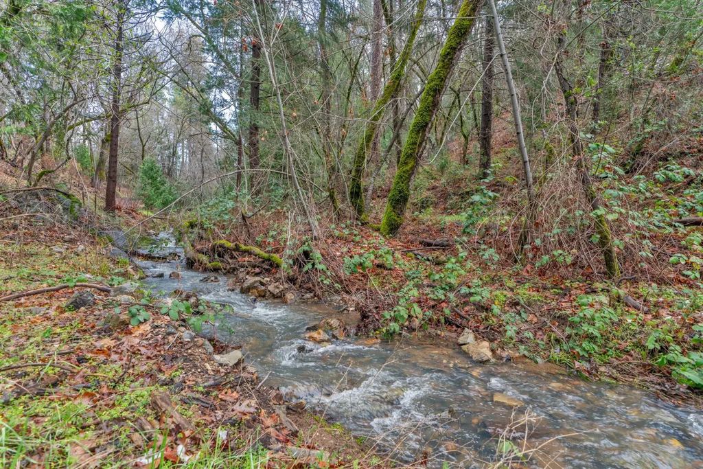 15 Old Vineyard, Placerville