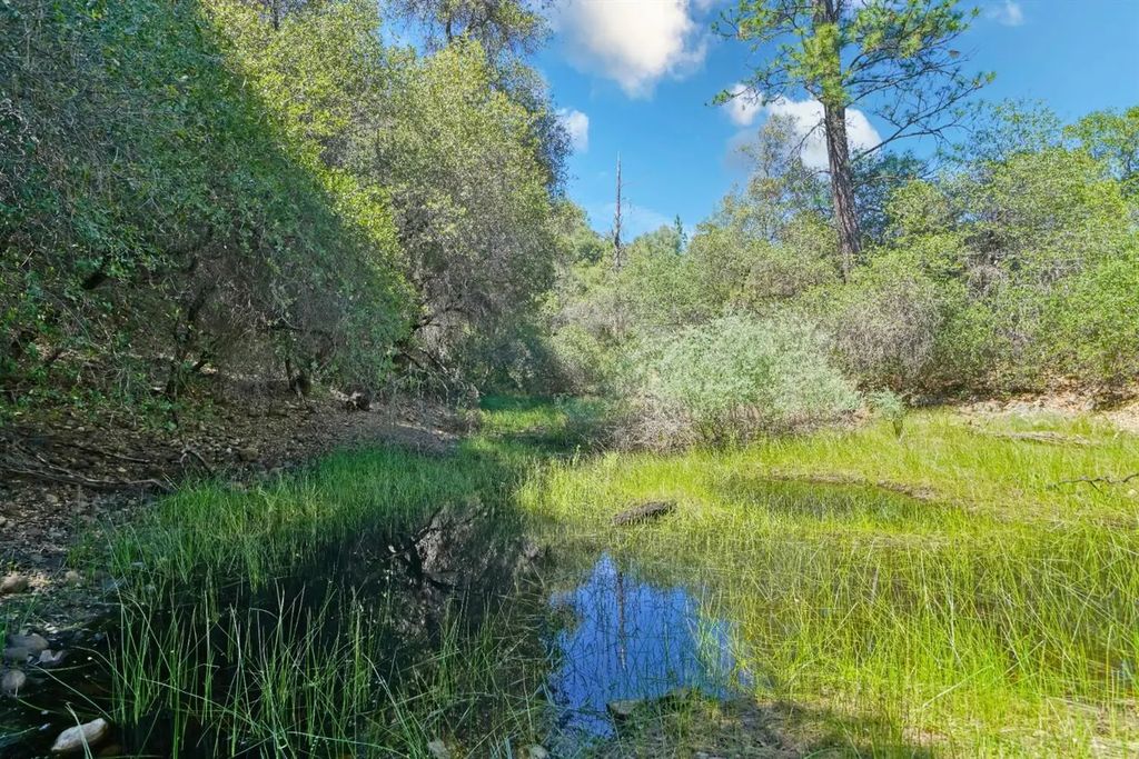 3501 Elysian Way, Placerville