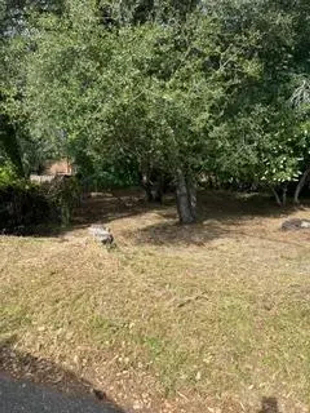 0 Planeta, El Dorado Hills