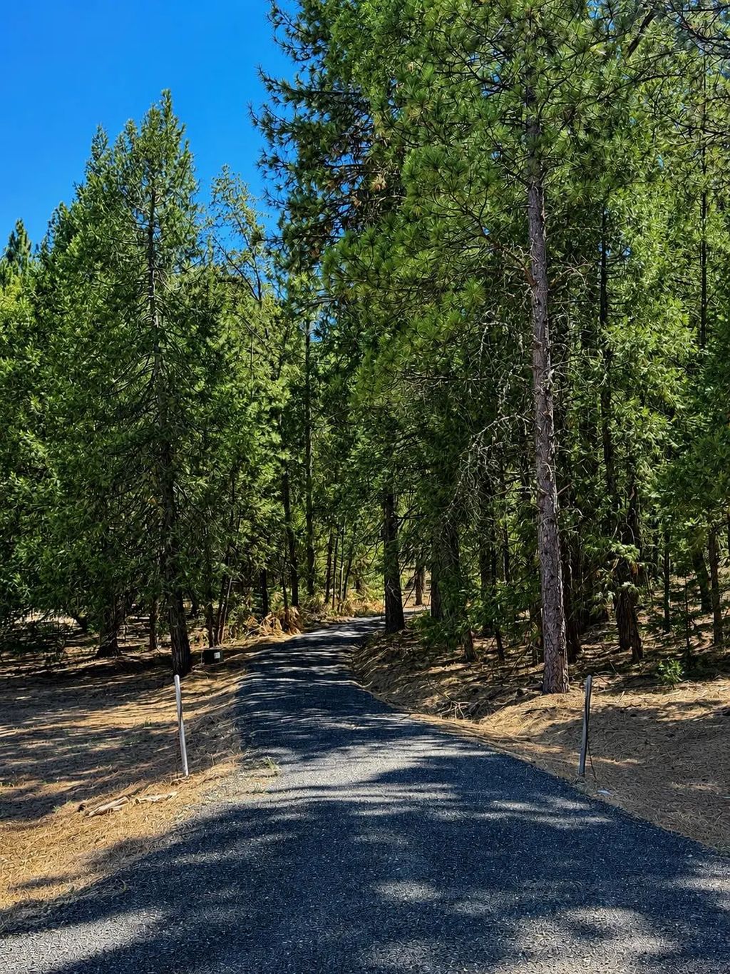4701 Vogelsang Lane, Placerville