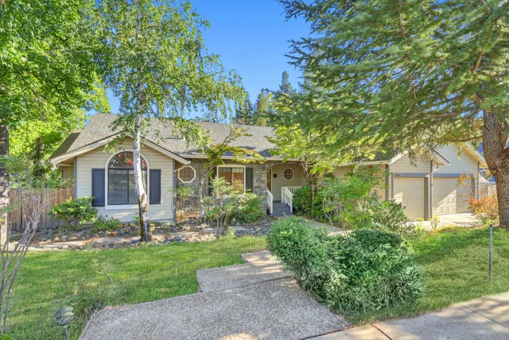 10100 Snowy Owl Way, Auburn