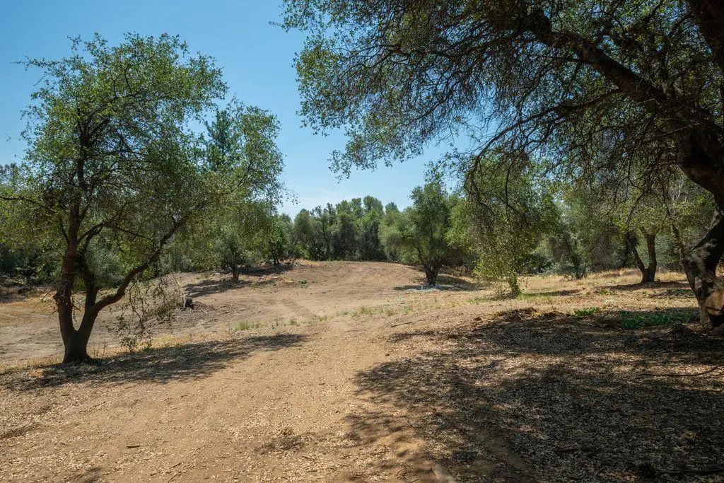3326 Sand Ridge Road, Placerville