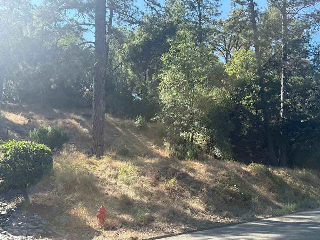 2750 Bedford Avenue, Placerville