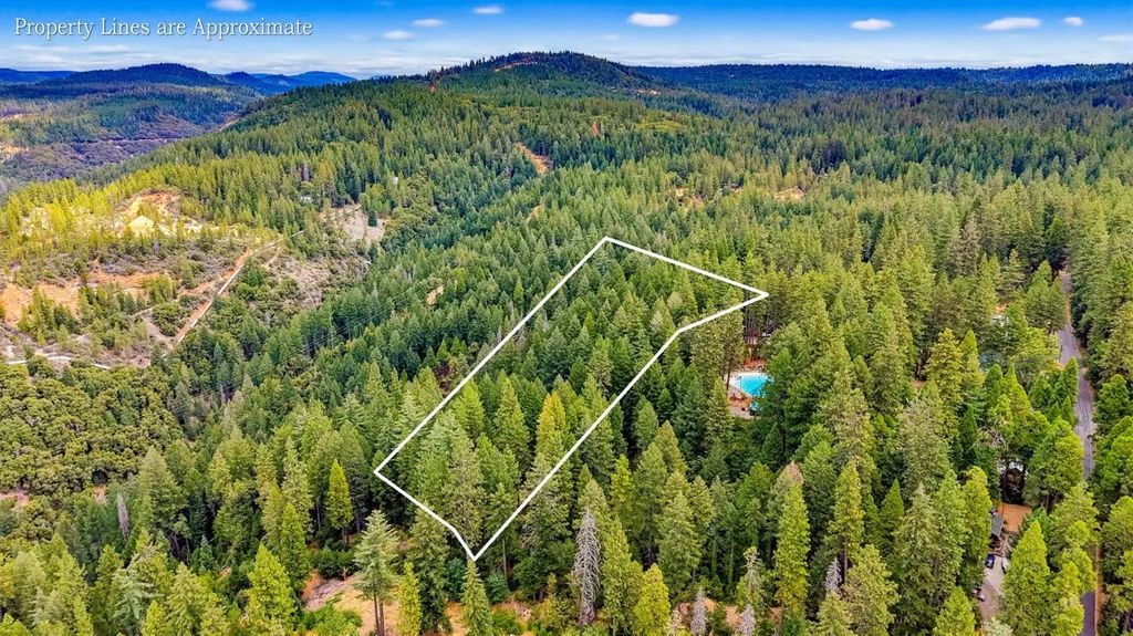 1046 Mattel Dr, Dutch Flat
