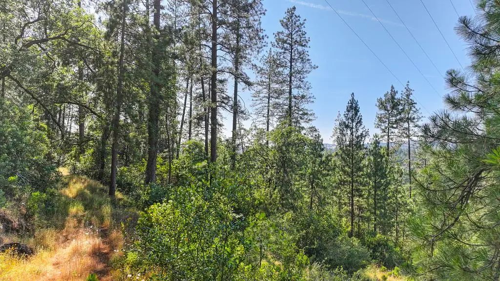 24316 Timber Ridge Drive, Auburn