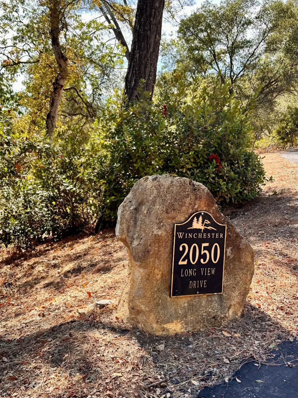 2050 Long View Drive, Meadow Vista
