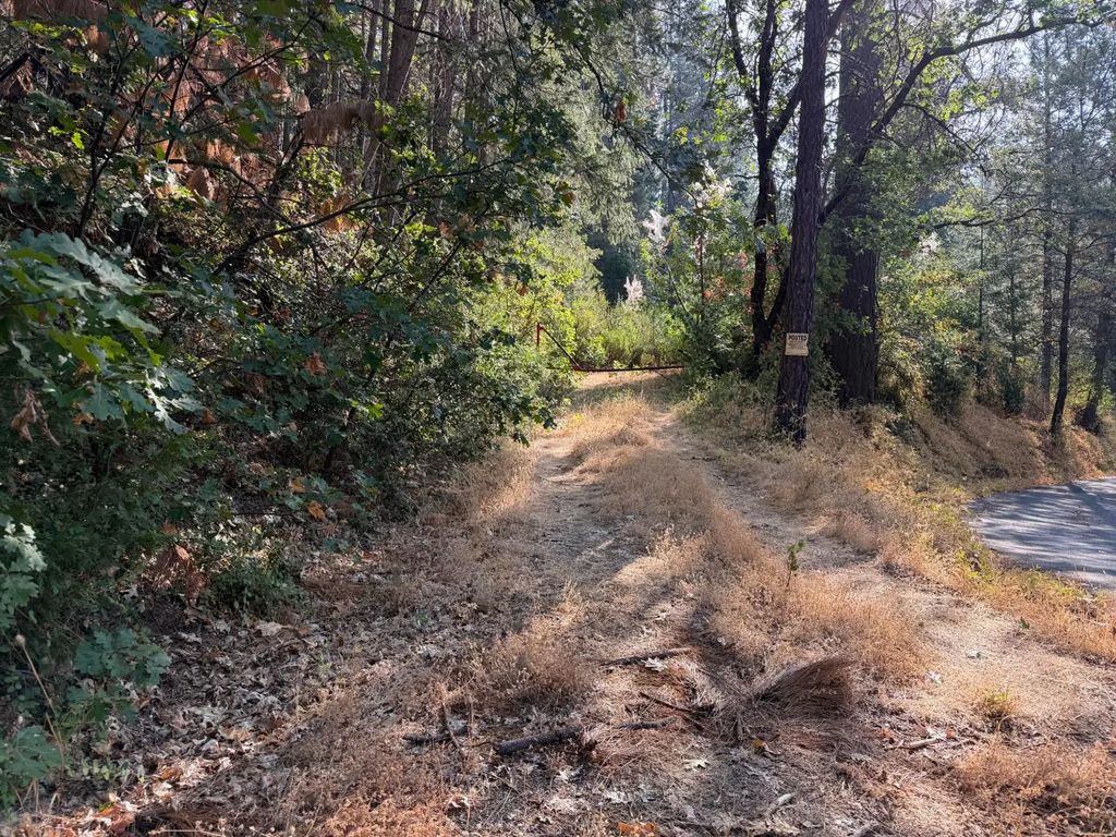 27999 Big Dipper Road, Foresthill