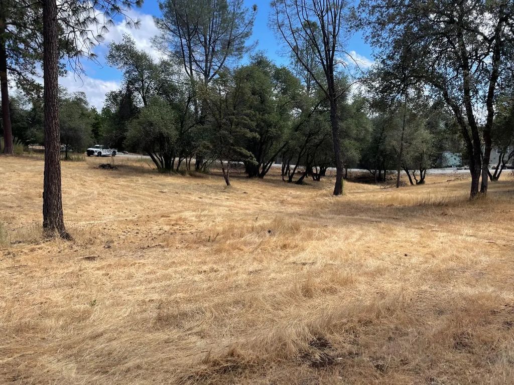 349 Cuckoo Court, Applegate