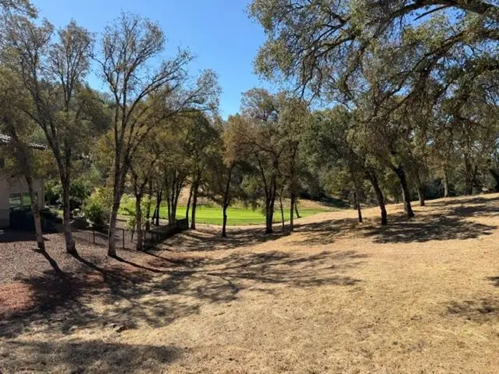 13042 Austin Forest Circle, Auburn