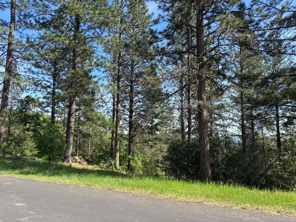 4135 Ampezo Place, Foresthill