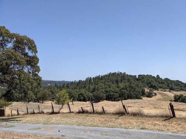 Hummingbird Lane, Cool