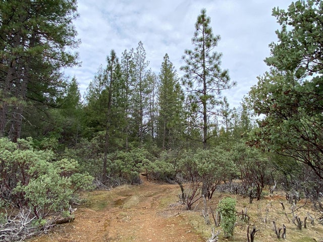 3 Todd Valley Road, Foresthill