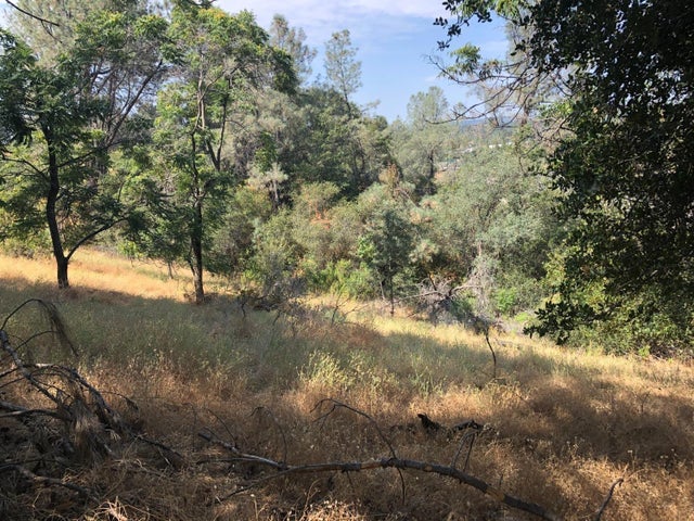 3075 Gold Nugget Way, Placerville