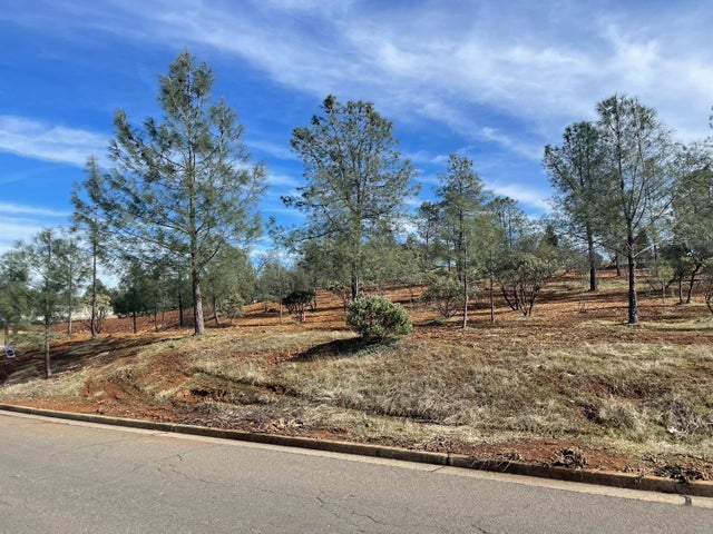 Product Drive, Shingle Springs