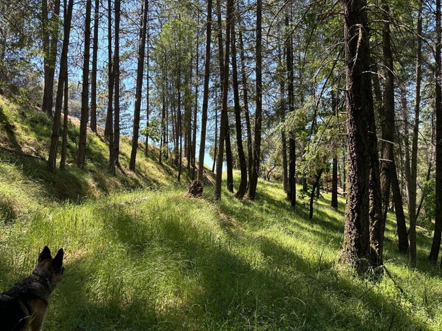 2663 Sweetwater Trail Trail, Cool