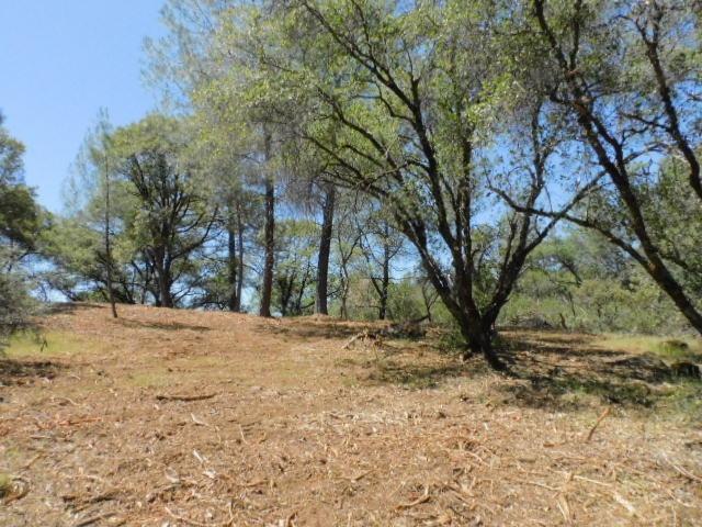 10 Dream Ranch Circle, Placerville