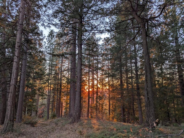 3000 Moody Ridge Road, Gold Run