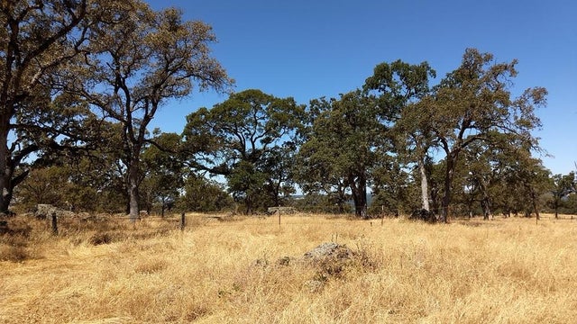 2 Crystal Boulevard, El Dorado