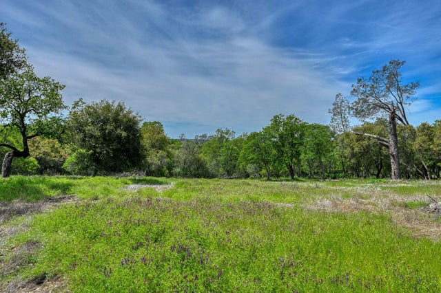 1991 E Green Springs Road, Rescue