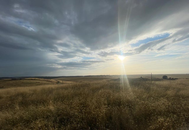 Hawk Trail, Shingle Springs