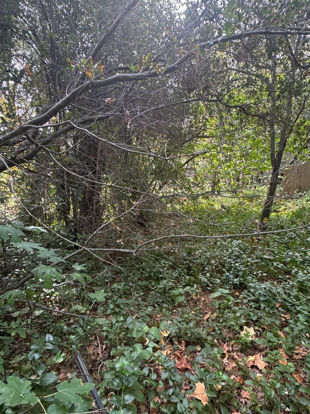 014-293-018-000, Roseville