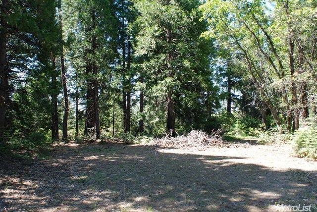 Kearsarge Mill Road, Alta