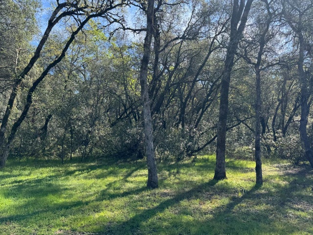 1001 Old Airport Road, Auburn