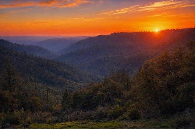 19751 Shirley Lane, Foresthill