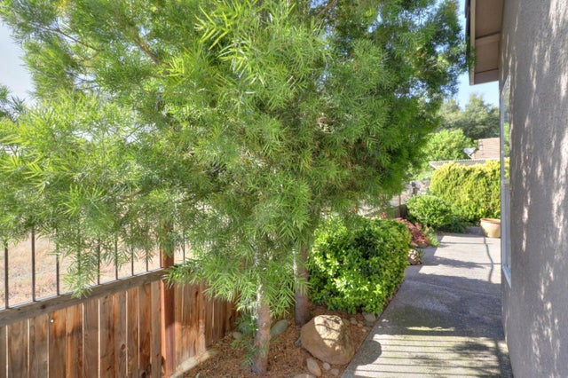 12097 Gold Pointe Lane, Gold River