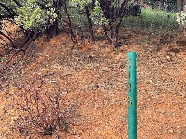 3188 One Eye Creek Road, Placerville