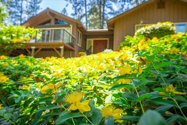 3010 Evergreen Court, Georgetown